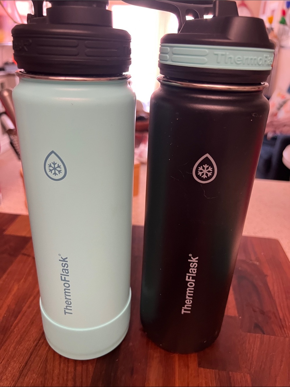 ThermoFlask Mint and Black Insulated Water Bottles